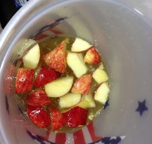 FRUIT SANGRIA (Adapted from Martha Stewart)